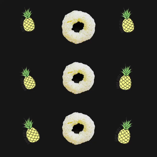 Freeze Dried Pineapple Rings